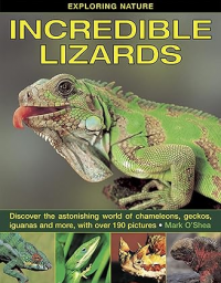 Exploring nature : incredible lizards