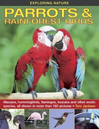 Exploring nature : parrots & rainforest birds